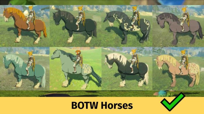 Totk horses from botw