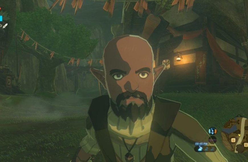 Breath of the wild npcs