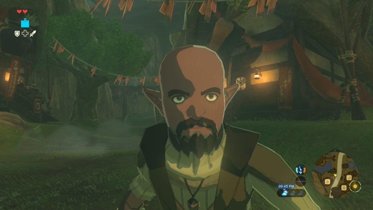 Breath of the wild npcs