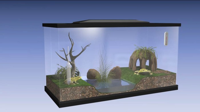 How to build a vivarium