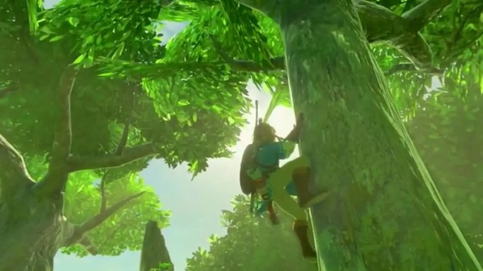 Breath wild zelda korok stump tree legend seed screenshot link locations nintendo screenshots botw guide seeds puzzles puzzle switch segmentnext