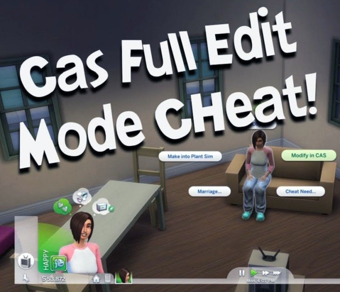 Full edit cas cheat