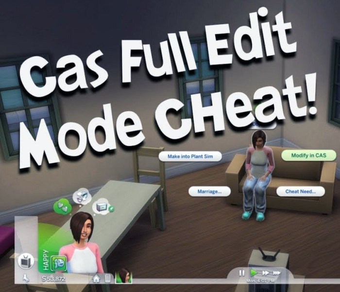 Modify disappeared enabled sims4