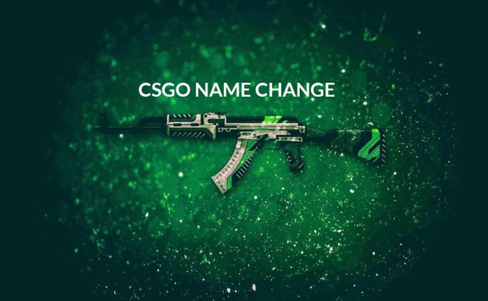 How to change cs go name