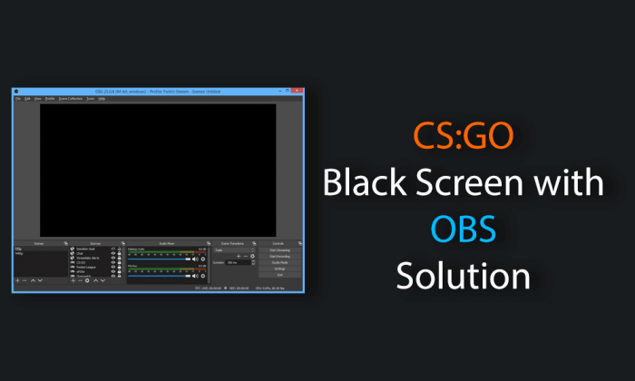 Obs csgo black screen