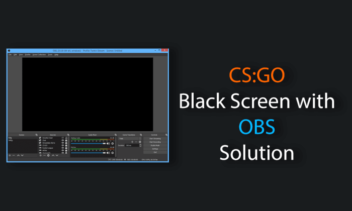 Csgo obs black screen