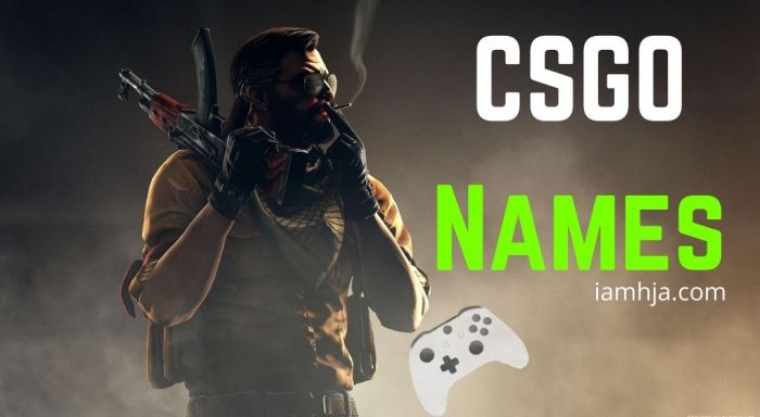 Cool names for csgo