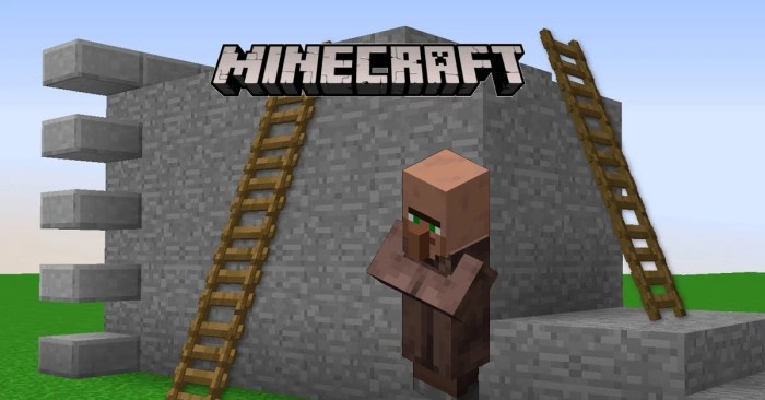 Can villagers use ladders