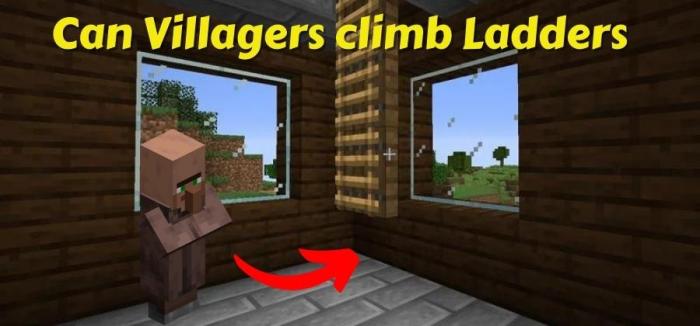 Can villagers use ladders