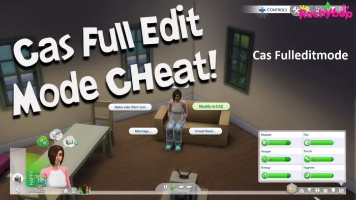 Cas cheat in sims 4