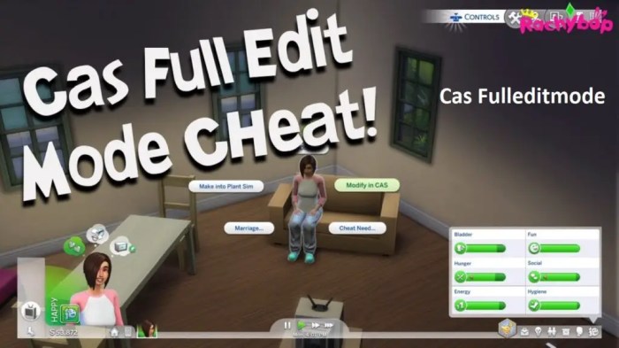 Sims 4 cas fulleditmode