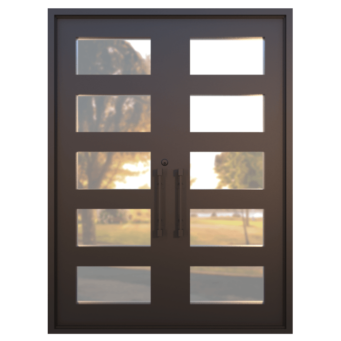 Double iron doors bg3