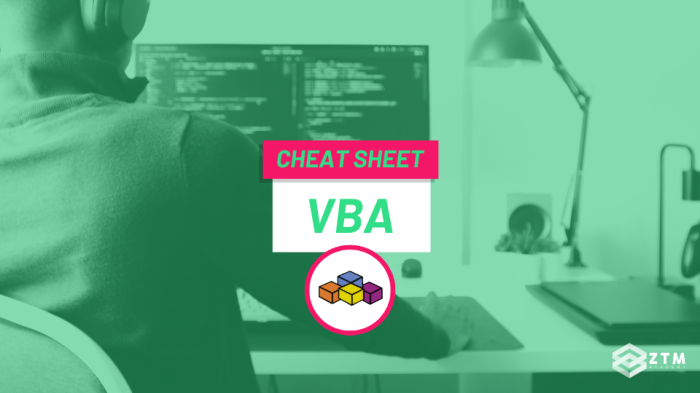 How to use cheats on vba