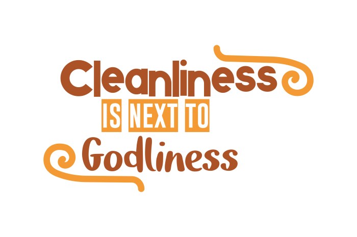 Cleanliness godliness next quote some same their people do dickens charles religion wallpapers quotefancy