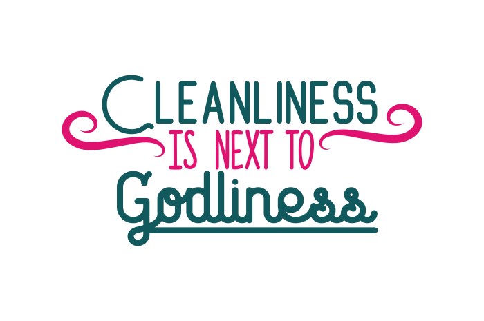 Cleanliness godliness next dickens charles some same their people do quote religion wallpapers quotefancy wallpaper