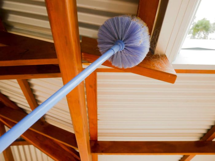 Dust webs on ceiling