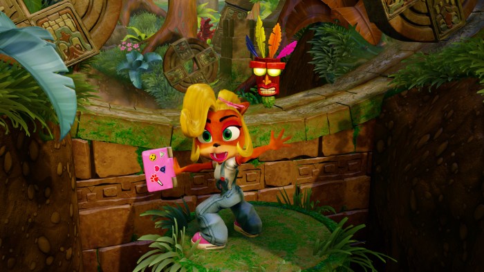 Coco And Crash Bandicoot