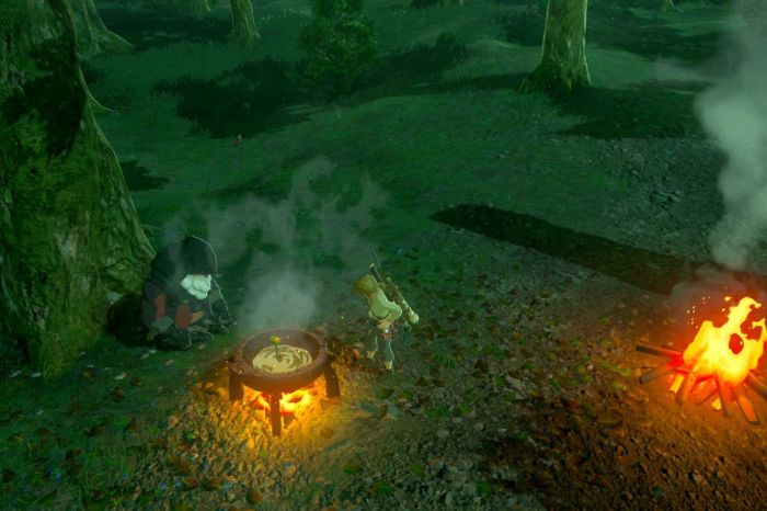 Zelda cook segmentnext