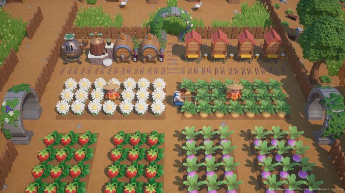 Coral island crop layout