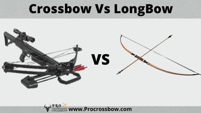 Crossbow vs bow diablo 4