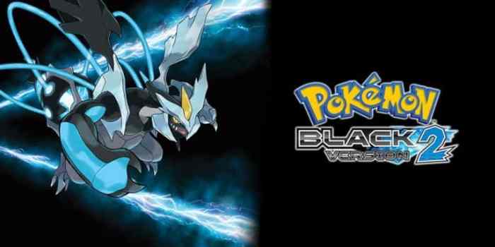 Pokemon black game save