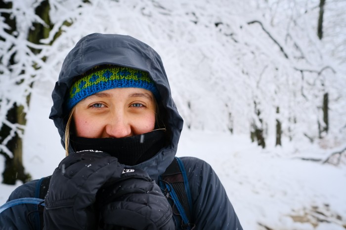 Botw cold weather gear