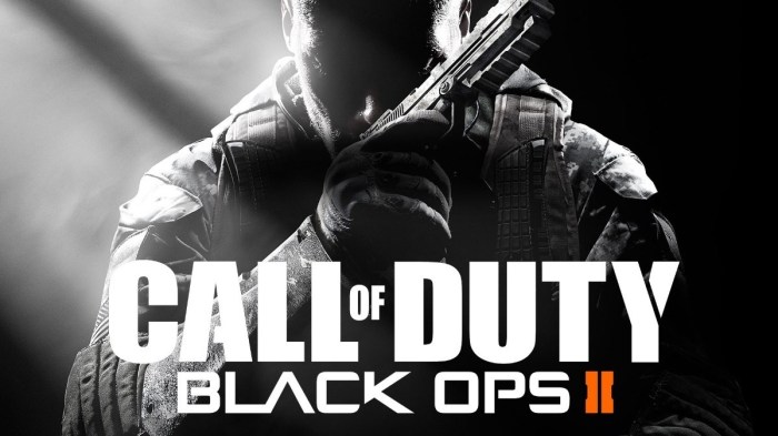 Black ops 2 steam key