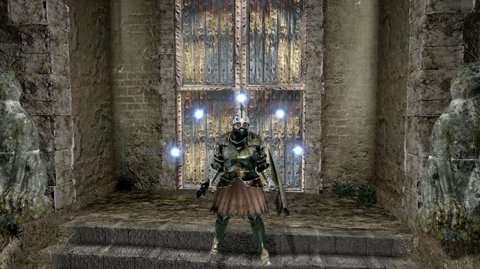 Dark souls 2 magic build