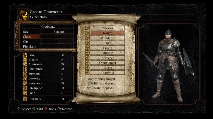 Dark souls 2 leveling up