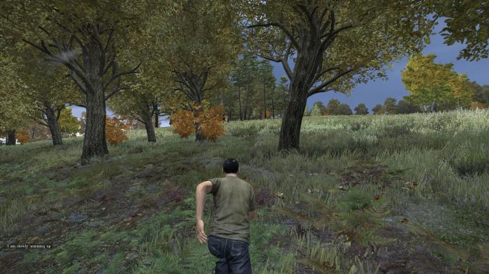 Dayz spawn with friends