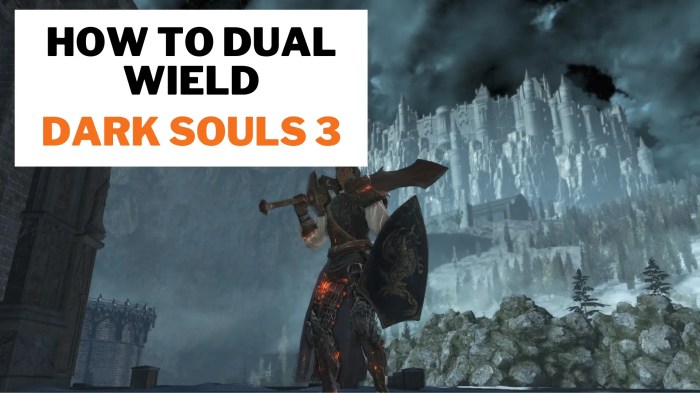 Dual wield dark souls 3