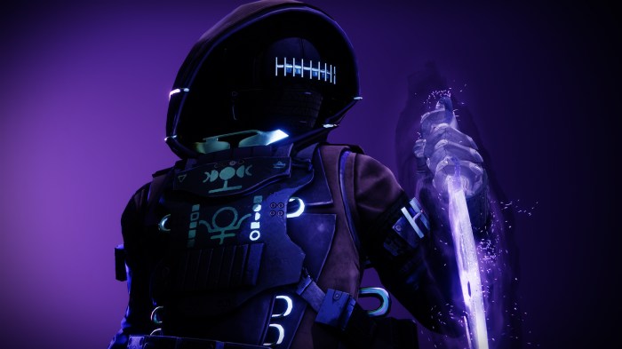 Destiny 2 void hunter