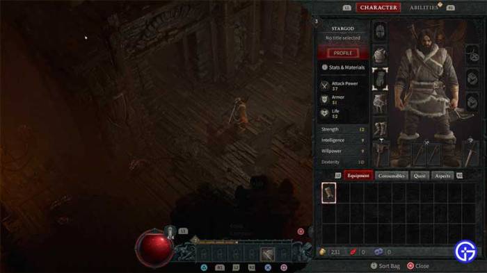 Diablo 4 inventory space