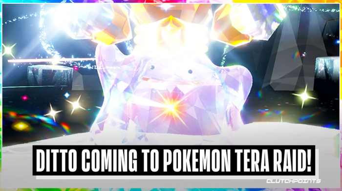 Pokemon ditto tera raid