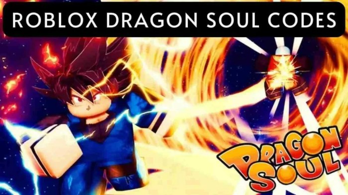 Codes for dragon soul