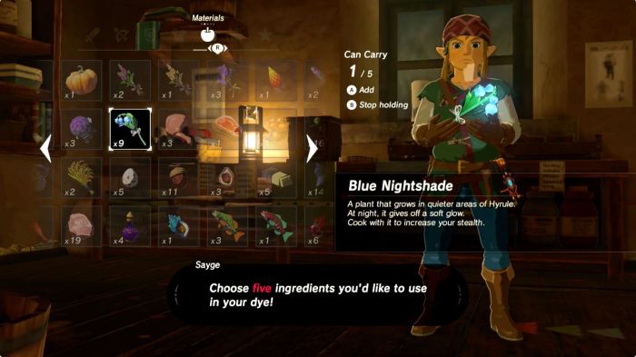 Botw armor hood combinations hylian rubber soldier there wild breath equipment use reddit correct travelling shield broadsword greaves bow mine