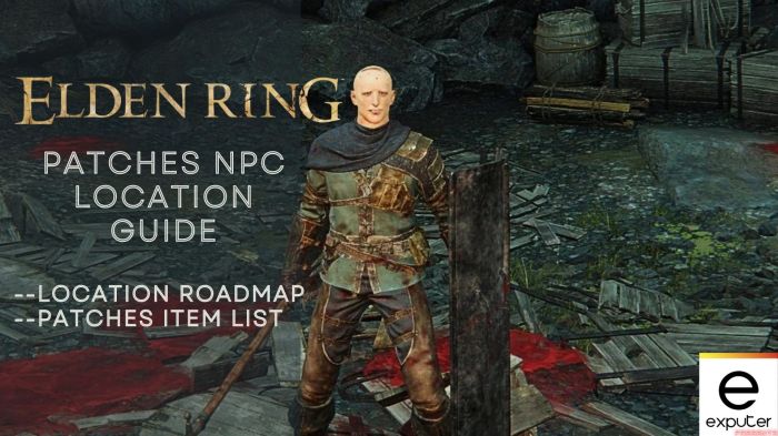 Elden ring patches npc