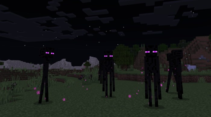 How to kill a enderman