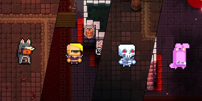 Gunther enter the gungeon