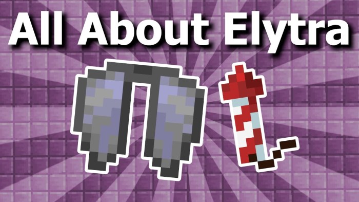 How to make an elytra