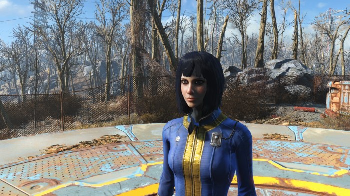 Fallout vault meat mods character mod cait choose board shadman nexus