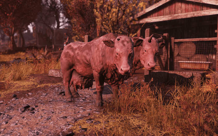 Fallout brahmin