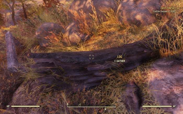 Collect wood fallout 76