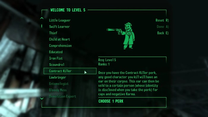 Fallout 3 contract killer