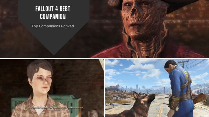 Fallout companions build guide