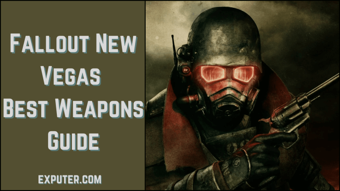 New vegas all weapons