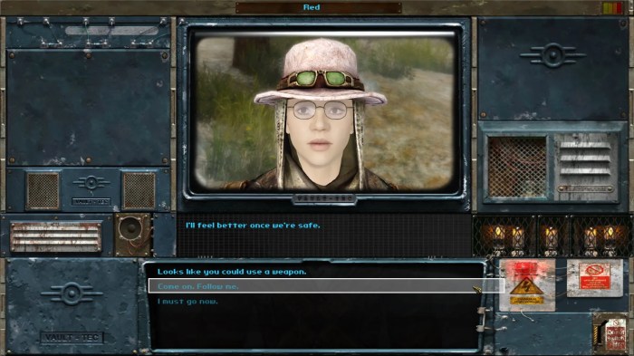 New vegas mod manager