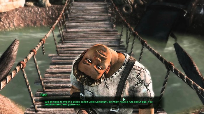 Glitches for fallout 3