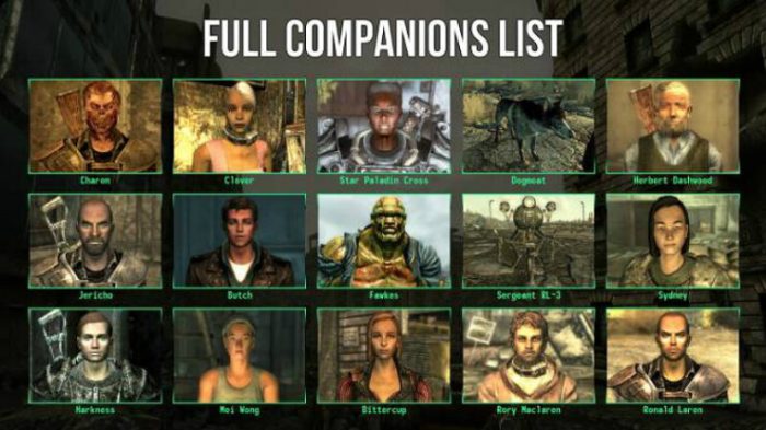 How to find companions