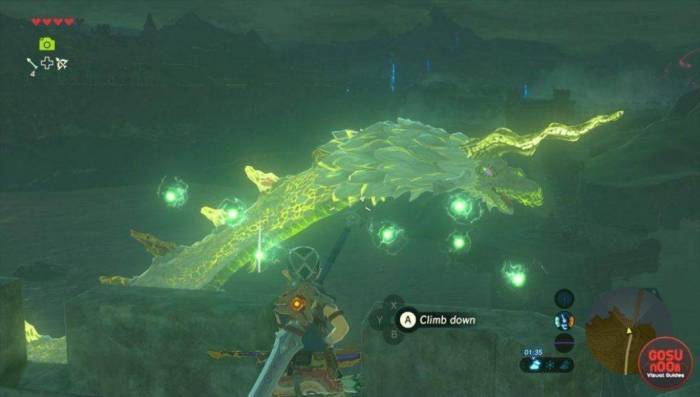 Botw farosh not spawning